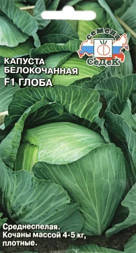 Капуста Безразмерная: как получить высокий урожай и правильно ухаживать