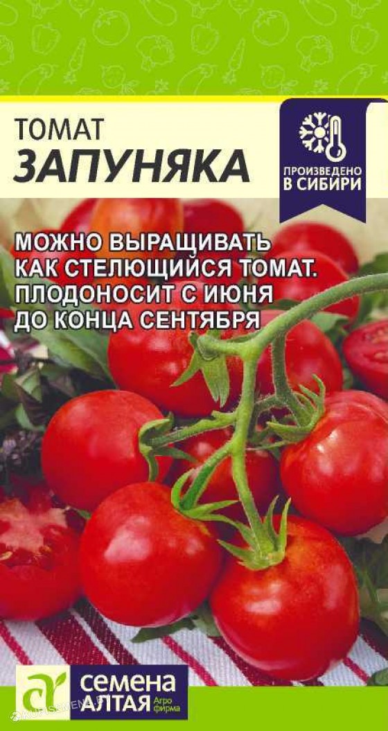 Сорт помидор запуняко отзывы. Томат Запуняка семена Алтая. Томат Запуняка 0,05г (сем алт). Помидоры Запуняко семена Алтая. Томаты Запуняка Алтайские семена.